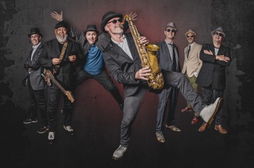 Madness (Madless)